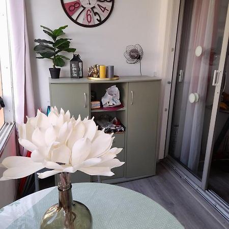 Studio Cabine Avec Loggia Agde Kültér fotó
